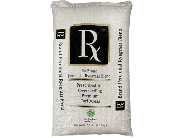 Pendelton Burlingham Seeds Rx Perennial Ryegrass – Detailed