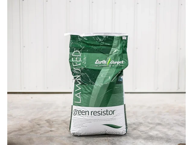 Green Resistor Tall Fescue Grass Seed Blend Cool – Honest