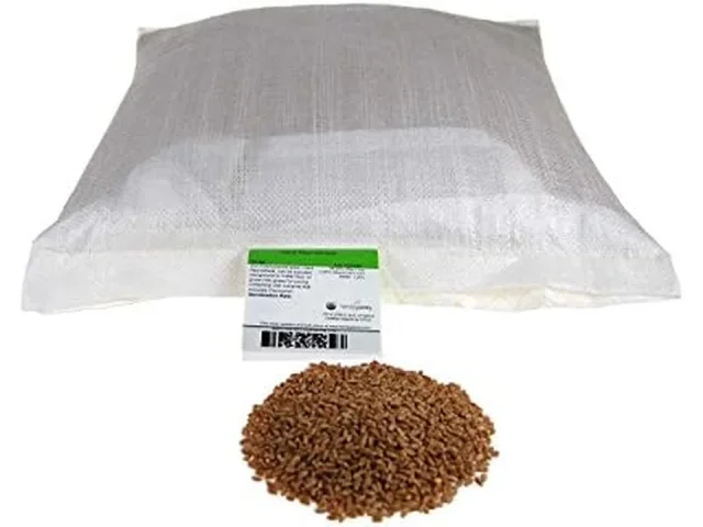 Organic Hard Red Wheat Seed: 25 Lb – Expert Review