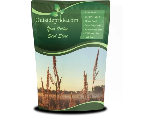 Outsidepride Perennial Andropogon Big Bluestem Grass Seed
