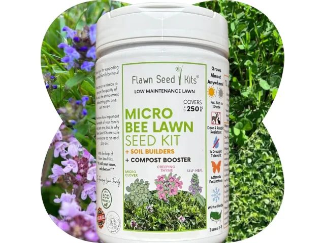 Flawn Micro Clover Bee Lawn Kits – Honest Review