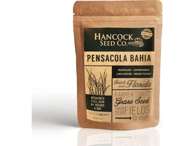 Hancock Raw Pensacola Bahia Grass Seeds – In-Depth Review