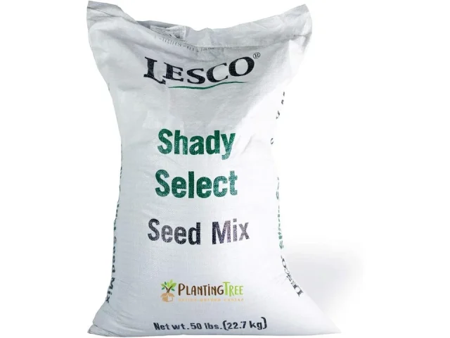 Lesco Shade Mix Grass Seed – In-Depth Review
