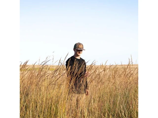 Indiangrass Seed Planting Native Tall Prairie Grass