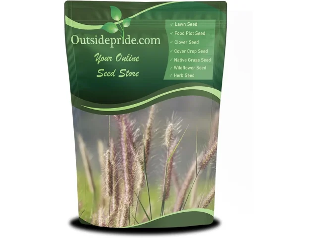 Outsidepride Perennial Northeast Native Grass Seed Mix