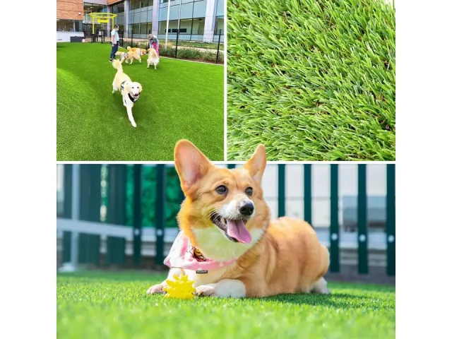 LFL Artificial Grass Turf 3 Feet X 15 – Expert Review