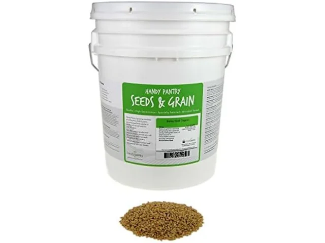 Handy Pantry Organic Barley Grass – Honest Review
