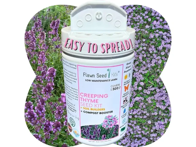 Flawn Seed Kits Creeping Thyme Seed Kit – Pros & Cons