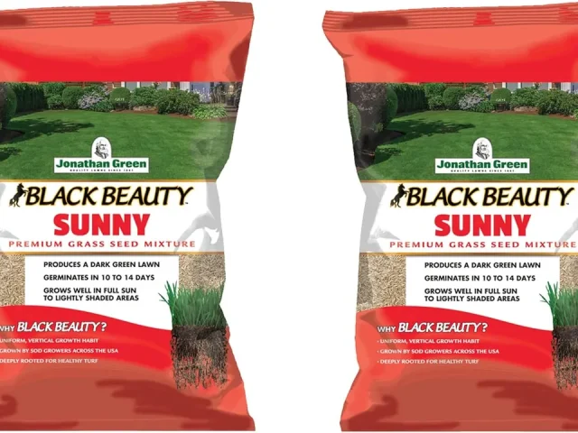 Jonathan Green Black Beauty Sunny Premium Grass Seed