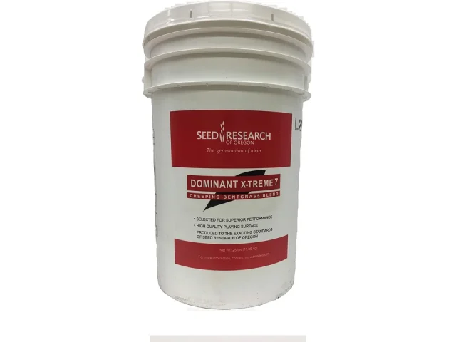 Dominant X-Treme 7 Creeping Bentgrass – Detailed Review