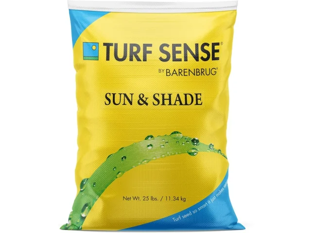 Barenbrug 25625 Turf Sense Grass Seed Grows in – Pros & Cons