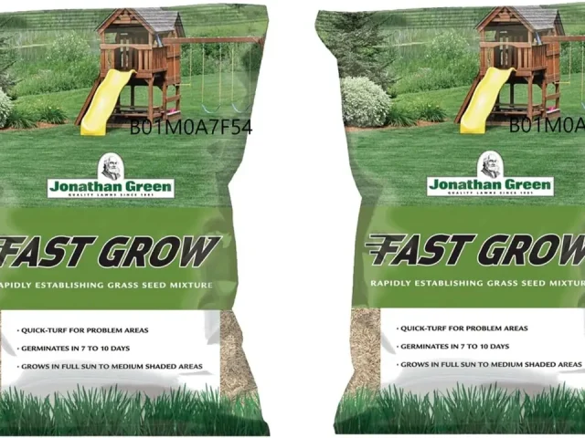Fast Grow Grass Seed Mixture: Pros & Cons