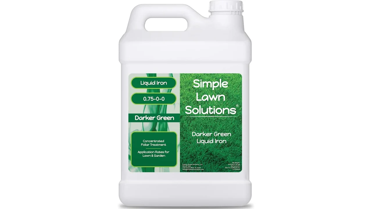 Simple Liquid Iron Darker Green - Honest Review 6 featured 150