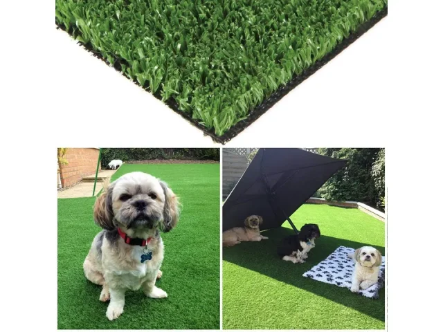 Turf 4ft x 26ft w Drainage Holes & – Honest Review