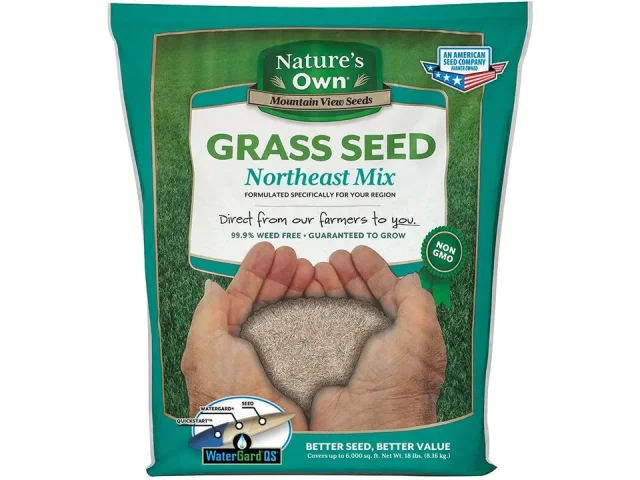 Mountain View Seeds 106460 Northeast Mix Grass Seed