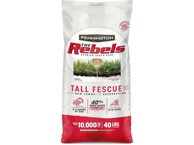Pennington The Rebels Tall Fescue Grass Seed – In-Depth