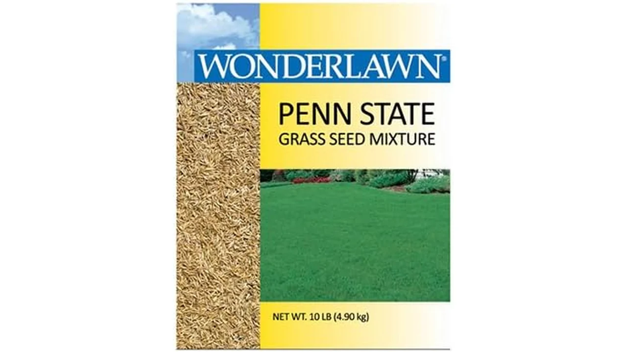 featured 1518