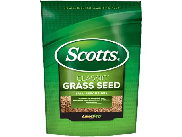Scotts 17327 Classic Tall Fescue – Honest Review