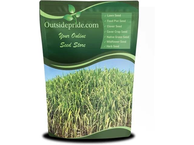 Outsidepride Switchgrass Seed – Honest Review
