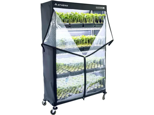 Athena Culture VPDome Indoor Greenhouse – Honest Review