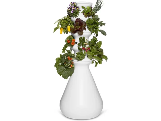 Farmstand Starter Kit | Honest Review