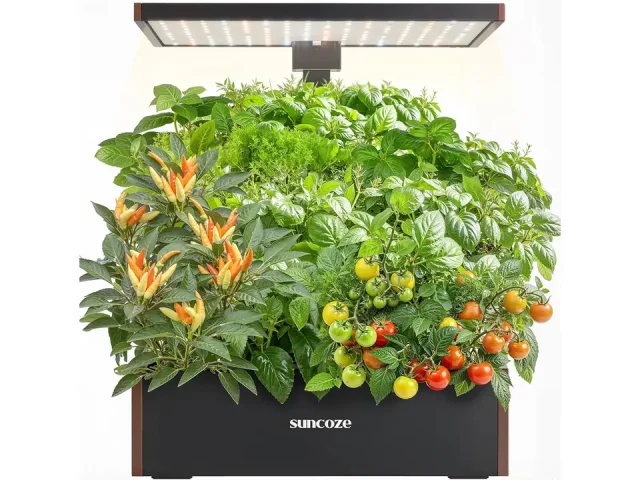 SUNCOZE Hydroponics Growing System Kit, 20 Pods Indoor – Is
