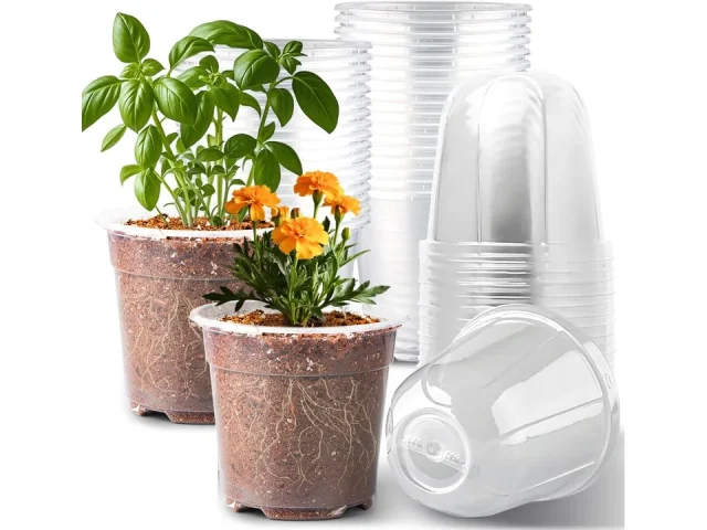 RooTrimmer 6 Inch Clear Nursery Pots Humidity Dome – Expert