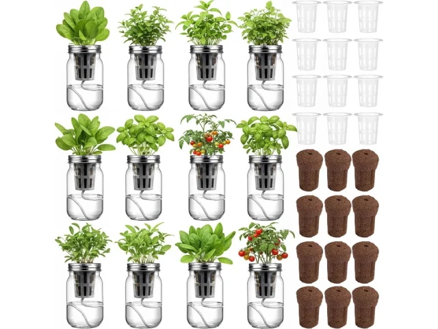 Teenyyou 12 Set Hydroponic Garden Mason Jar Kit: Honest