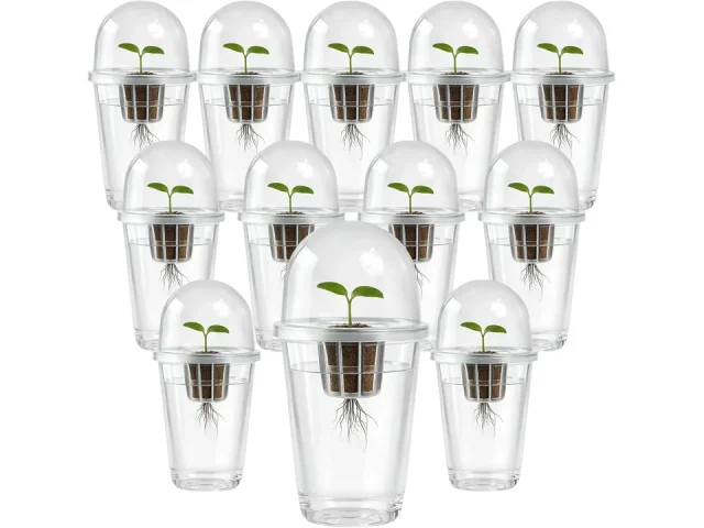 12 Pack Transparent Hydroponic Cups – Honest Review