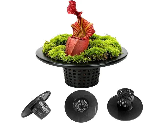 6 Inch Net Pots Wide Lids 3.5 – In-Depth Review