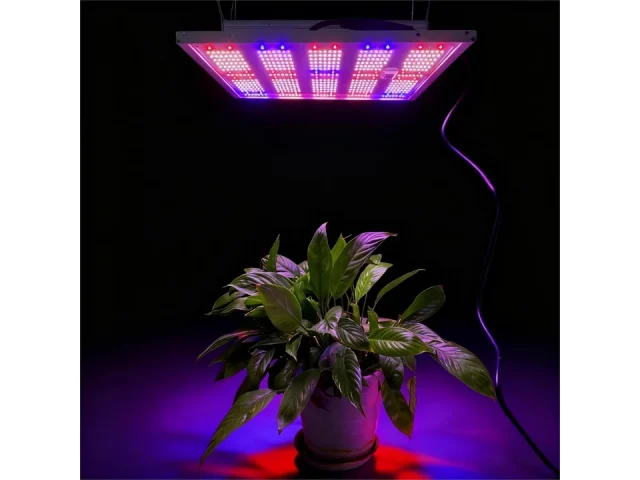 LED Grow Light Panel Indoor Plants 100W – Honest Review