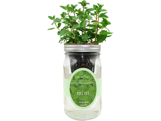 Hydroponic Herb Growing Kit – In-Depth Review