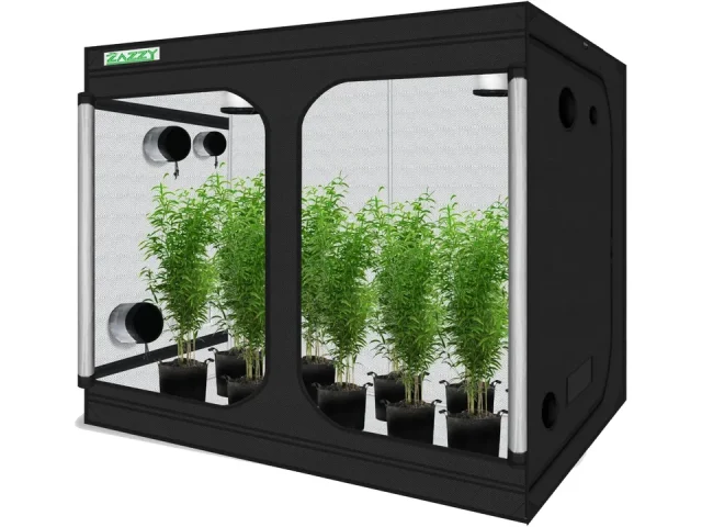 zazzy Grow Tent – Detailed Review