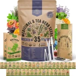 featured 1684