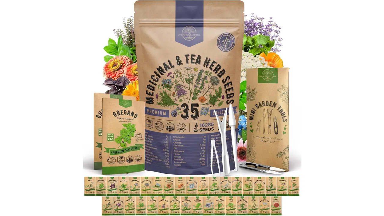 featured 1684