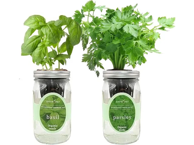 Hydroponic Mason Jar Herb Garden Kit – Honest Review