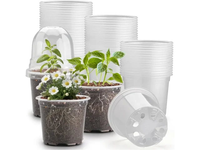 RooTrimmer 60 Pack Clear Nursery Pots Humidity Domes: Pros