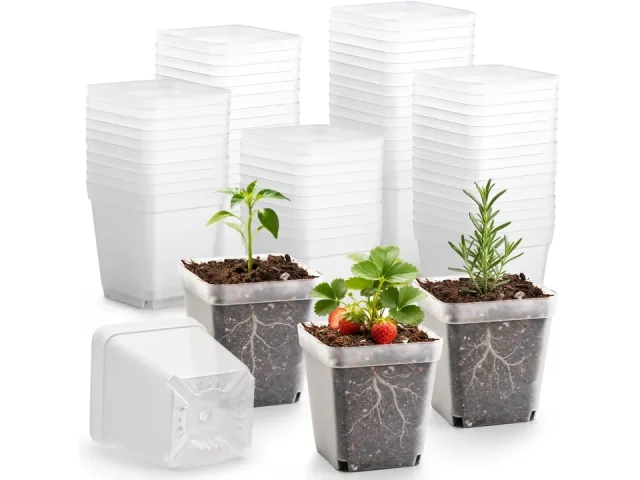 RooTrimmer 120 Packs Square Clear Nursery Pots – Is It