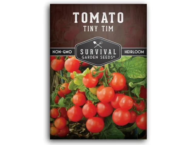 Tiny Tim Tomato Seeds – Dwarf Cherry Tomatoes: Buyer’s Guide