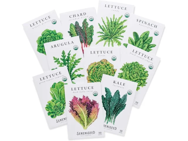 Sereniseed Certified Organic Leafy Greens Lettuce Seeds