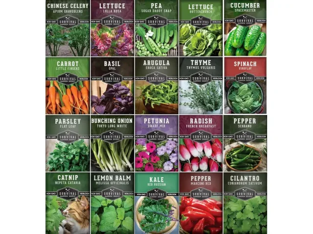 Hydroponic & Indoor Garden Seed Kit 20 Compact – Honest