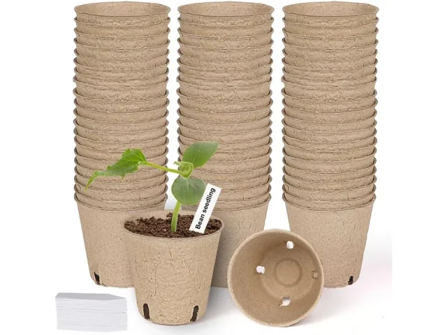 JNYONG 60 Packs 3.15 Inch Biodegradable Pots – In-Depth