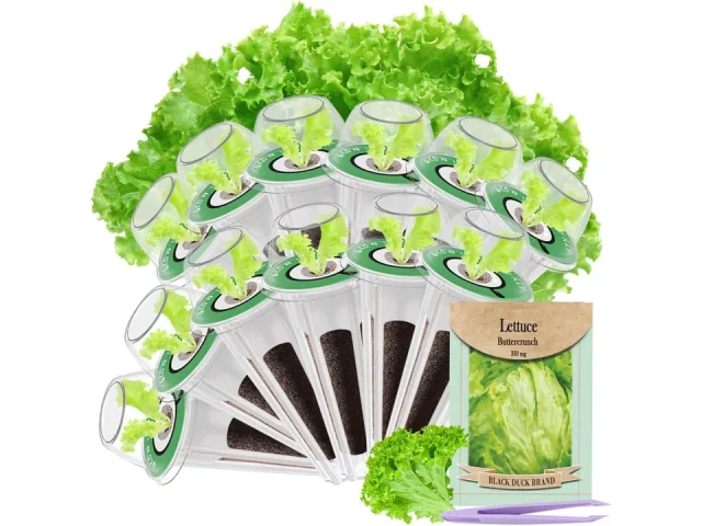 12-Pod Lettuce Seed Pod Kit – Is It Worth the Money?