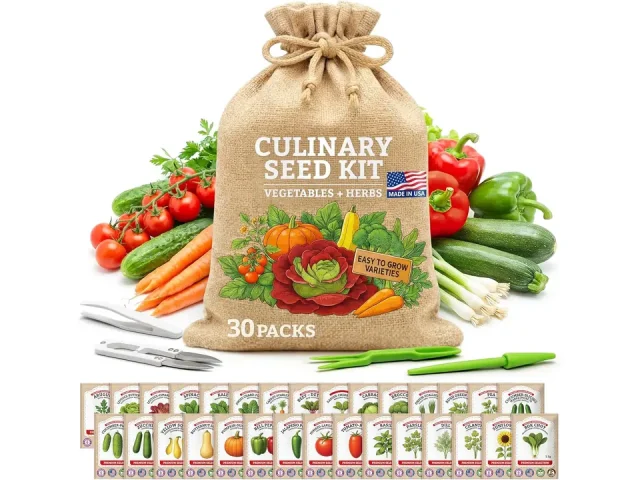 Culinary Vegetable & Herb Seeds Variety Pack – In-Depth