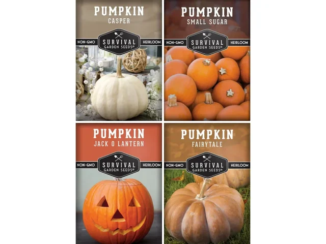 Pumpkin Seeds 4 Variety Pack Planting Small Sugar