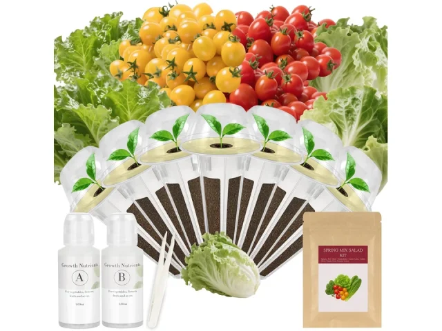 Spring Mix Salad Seed Pod Kit – Honest Review