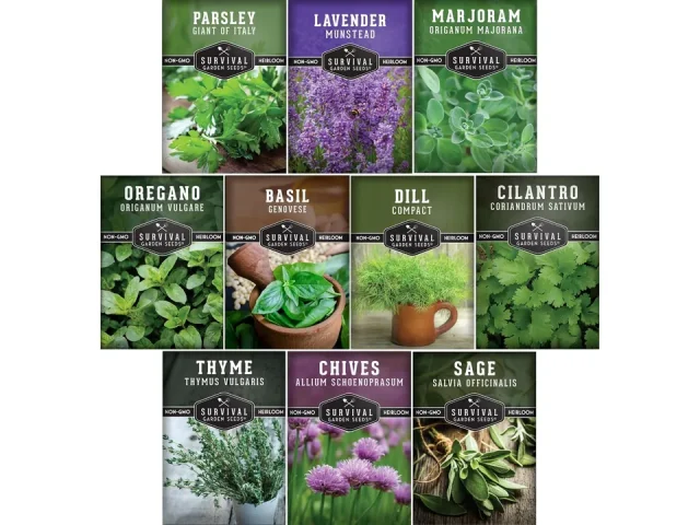 Herb Seeds Variety Pack | 10 Culinary Herbs – Complete