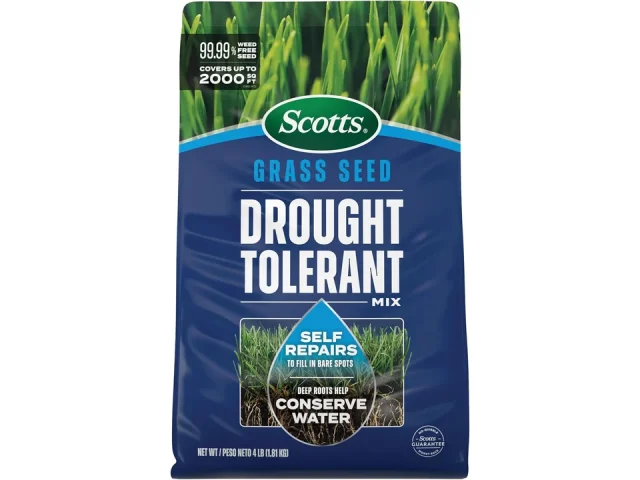 Scotts Drought Tolerant Mix – Kentucky Bluegrass Pros & Cons