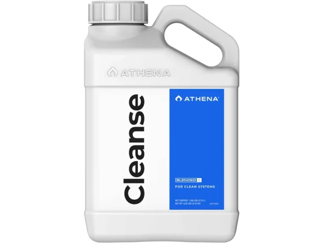 Athena Blended Cleanse – Honest Review