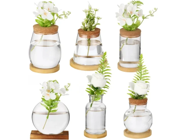 6PCS Plant Propagation Station – Honest Review